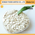 pumpkin kernel type Best Quality In China Market